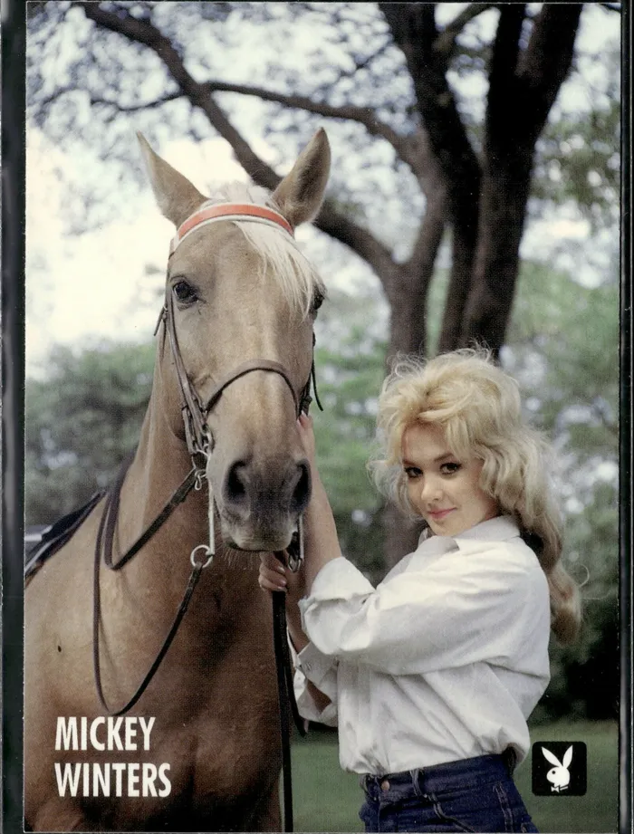 Couples Dans Cards Playboy Centerfolds September Edition Mickey Winters Card 26 Couples Dans Cards Playboy Centerfolds September Edition Mickey Winters Card 26