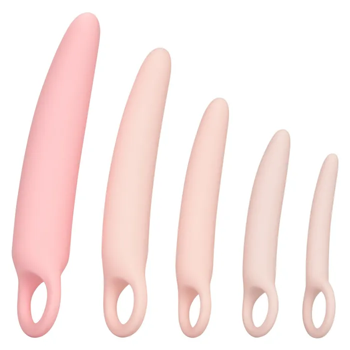 Inspire Silicone Dilator 5 Piece Set CalExotics Female Sex Toys