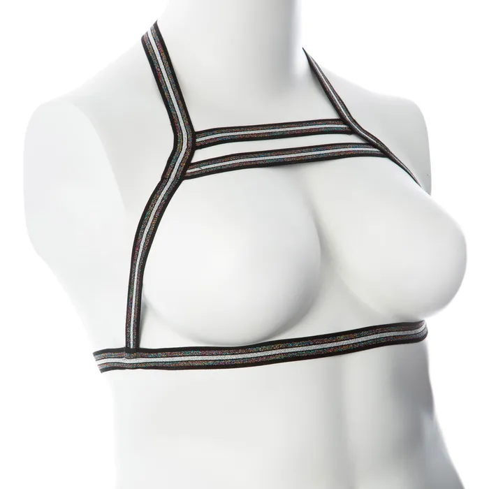 Gender Fluid Silver Lining Harness Smalllarge MultiColor Gender Fluid Anal
